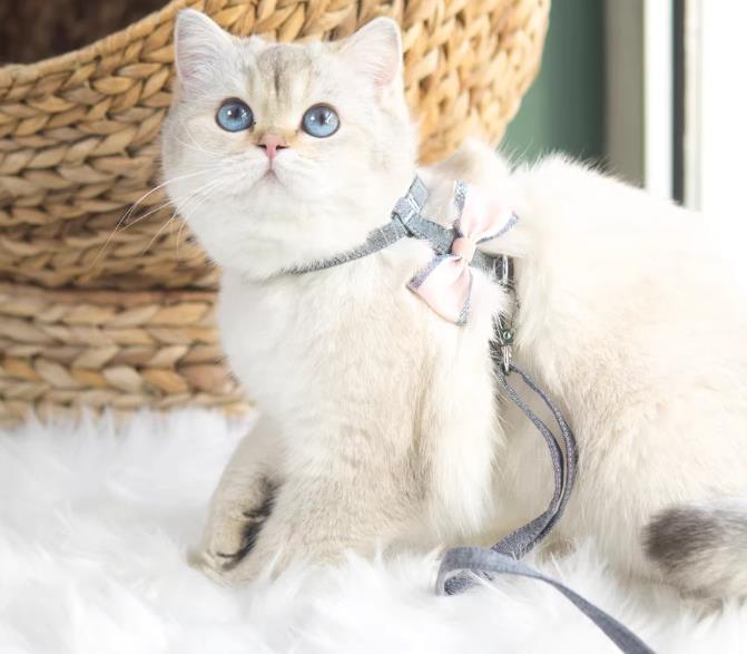 安岳柠檬产业集群成功入选国家优势特色产业名单，助力乡村振兴