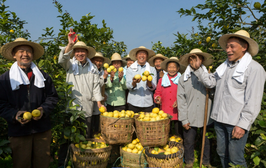 安岳县举办柠檬文化节，擦亮特色产业 “金名片”